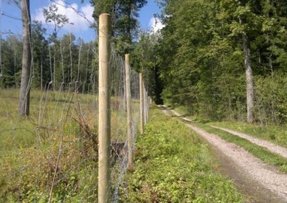 Parama 2026 m. Molėtų rajone medžiojamųjų gyvūnų žalos prevencijai