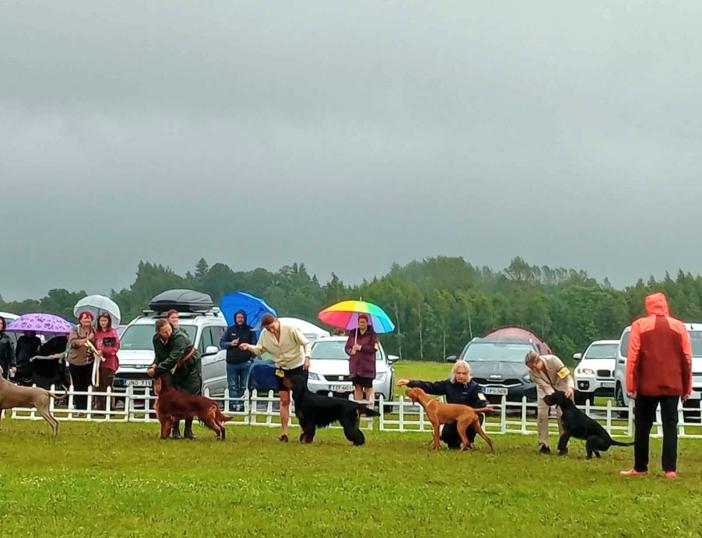 Radžiūnų aerodrome vyko Lietuvos kinologų draugijos organizuojamos tarptautinės šunų parodos
