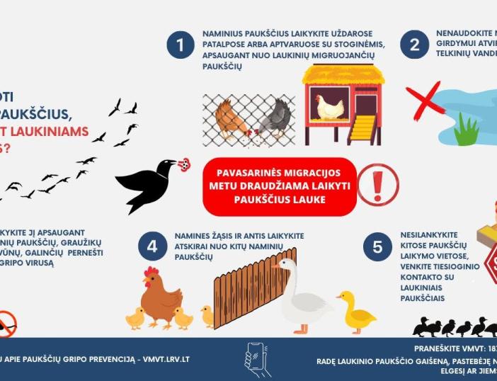 Valstybinė maisto ir veterinarijos tarnyba perspėja dėl paukščių gripo