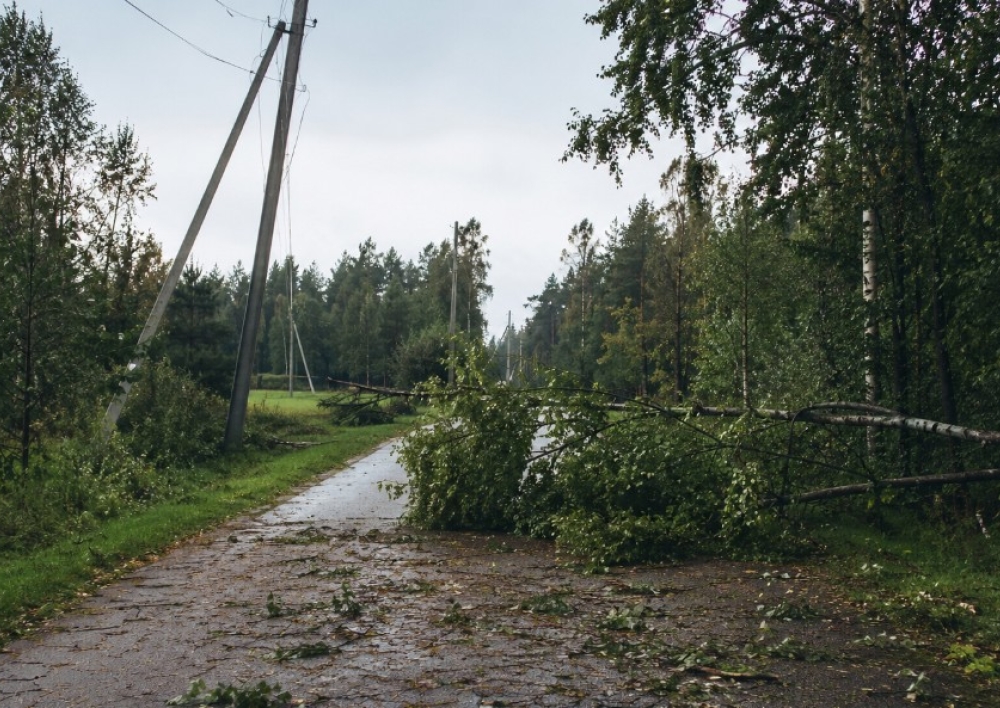 Audros padarinių šalinimas Molėtų rajone: situacija ir svarbiausia informacija gyventojams