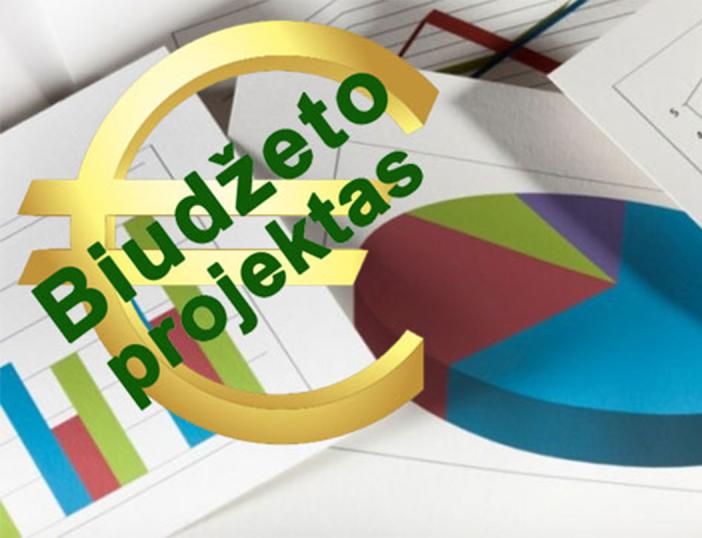 Kviečiame susipažinti su 2025 metų Savivaldybės biudžetu ir teikti pastabas
