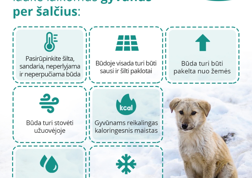 Artėjant itin šaltam savaitgaliui – pasirūpinkime gyvūnais