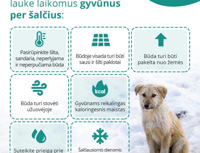 Artėjant itin šaltam savaitgaliui – pasirūpinkime gyvūnais